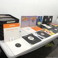 Table display of 12 vinyl records with cover art and paper sleeves, some titles visible