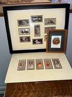 Framed cigarette cards depicting various cats and dogs in a black frame with cream matting, with a smaller framed lithograph of a long-haired cat in front, and a black matted sheet with six dog cards laid flat.