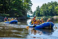 Group of rafters in blue inflatable raft paddling on calm river surrounded by forest