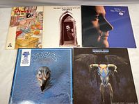 Top view of all five vinyl albums arranged on a flat surface showing all album covers.