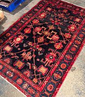 Full view of rug showing overall pattern and border