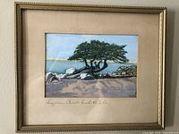 Framed watercolour painting showing a tree on rocky coastline with blue sky and water in background, titled and signed below the image.