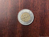 Reverse side of the 2000 Canadian Toonie depicting a polar bear on an ice floe with Knowledge 2000 Le Savoir inscriptions.