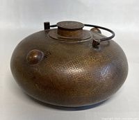 Angle view showing the rounded bronze hot water bed warmer with detailed hand engraved patterns and wire handle, lid and spout visible.