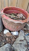 Large terracotta-colored ceramic planter with scalloped edge filled with garden debris and leaves, placed outside among rocks and soil.