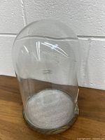 Glass cloche dome on wooden base on a table, shown from a slight angle to display the full dome shape.