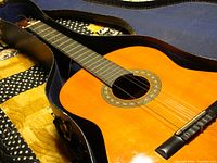 Photo showing full guitar in open blue-lined hard case, guitar body and neck visible showing natural wood finish and strings.