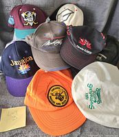 Photo of eight assorted collectible hats arranged overlapping on a flat surface. Various colors and embroidered logos including regional, brand, and themed designs.