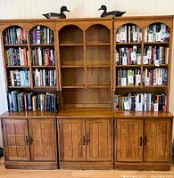 Front view of all three book shelf units loaded with books