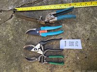 Photo showing four garden shears placed next to a measuring tape, including a large pair of blue-handled grass shears and three pruning shears with different handle colors.