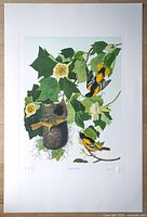 Full view of the lithograph mounted on white mat board showing Baltimore Orioles amongst green leaves and flowers.