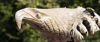 Front view of bald eagle carving showing beak, eye and scale-like feather carving