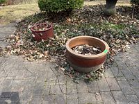 Photo showing two ceramic plant pots situated outdoors on a paved surface with leaves and plants around.