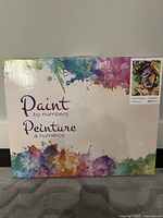 Box for the paint by numbers kit showing colorful splash design and sample artwork image