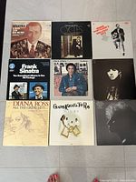 Top-down view of all nine vinyl record album covers arranged in a 3 by 3 grid, showing artists Frank Sinatra, Barbra Streisand, Paul Anka, Roger Whittaker, Diana Ross, Gladys Knight & The Pips.