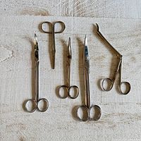 Full lot view of five vintage medical scissors and surgical tools on textured surface showing shape and size variations