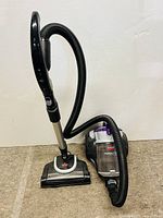 Powerlifter brand canister vacuum cleaner with visible dirt container, hose, and floor cleaning head arranged against a white background.