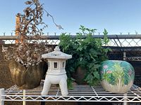 Full view of brass clam shell planter with weathered faux bonsai, brass planter with greenery, white plaster light housing, and Asian floral vase