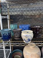 Group photo showing 6 ceramic orchid pots in various colors, shapes, and sizes on metal shelving