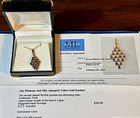 Pendant displayed in box next to official appraisal certificate