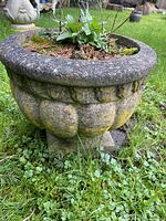 Side view of vintage concrete flower pot showing scalloped design, moss growth, and crack near base.