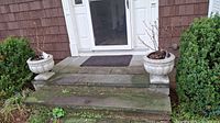 Front view of two cement planters with rose bushes on steps outside a house showing one on each side of the stairway.
