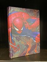Front hardcover cover showing Spider-Man artwork in dynamic pose against a detailed cityscape background.