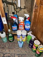 Photo showing a variety of household cleaning products arranged on a carpeted floor under a sink including Windex, Lysol, Clorox, Palmolive, and others