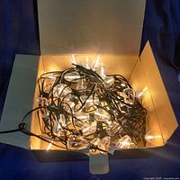 Box containing the string lights powered on, showing clear bulbs on black wire emitting warm light.