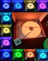 Multiple color display of the LED RGB neon rope light powered on showing various colors in blue, purple, pink, yellow, cyan, green, and orange in a coiled form.