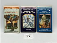Three 1983 Dungeons & Dragons Endless Quest books on display: Circus of Fear #10, Spell of the Winter Wizard #11, Raid on Nightmare Castle #14.