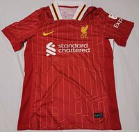 Front view of red Nike Liverpool 2024/2025 home jersey with geometric pattern, sponsors logo 'standard chartered', Nike icon and Liverpool crest.