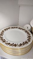 Stack of Wedgwood dinner plates showing gold leaf garland pattern and gold rim decoration