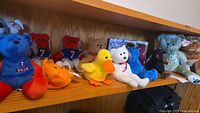 Shelf display of assorted TY Beanie Babies and plush animals including purple bear, blue Bills bear, yellow duck.