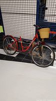 Full side view of the red Daymak Paris e-bicycle showing frame, wheels, front basket, and twisted front fender