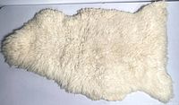 Natural sheepskin pelt laid flat showing full length and shape with dense wool texture.