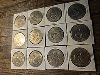 Top view of 12 silver coins in individual holders showing different designs including eagle and horse on reverse sides.