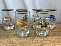 Front view of six clear glass tumblers with various colorful fish motifs and gold rims