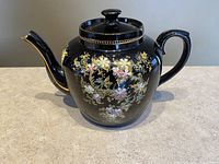 Front and side view of a black ceramic teapot with gold and floral painted decoration, round body, and curved spout and handle.