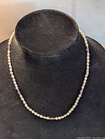 Front view of the pearl necklace with purple beads displayed on a black stand showing the full length and design details.