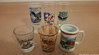 Six assorted shot glasses on a counter including various location and theme designs.