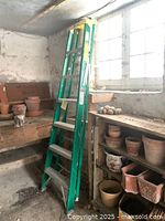 Green Davidson folding step ladder standing folded in a basement near shelving with flower pots, showing the full ladder height and structure.