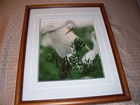 Framed photographic print titled 'White Lace Egret', featuring a white egret bird on a branch with green foliage. The print is mounted with a white mat and a brown wooden frame.