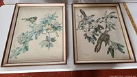 Pair of framed bird lithograph prints by Cecil Golding showing color bird illustrations on floral branches