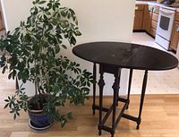Photo showing the black oval drop leaf table with leaves extended and the leafy houseplant in cobalt pot beside it on wood flooring.