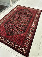 Full view of rectangular area rug displaying overall pattern and color palette