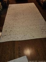 Full rectangular beige area rug laid flat on hardwood floor showing overall size and pattern of dark speckles.