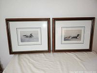 Photo of both framed prints depicting waterfowl, showing the overall appearance and framing.