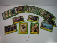 Photo showing 28 Indiana Jones Raiders of the Lost Ark trading cards spread out in an arc; all cards have green borders with snake decorations and movie scene images.