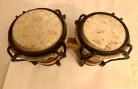 Top view of bongo drum heads showing natural skin heads with some usage wear.